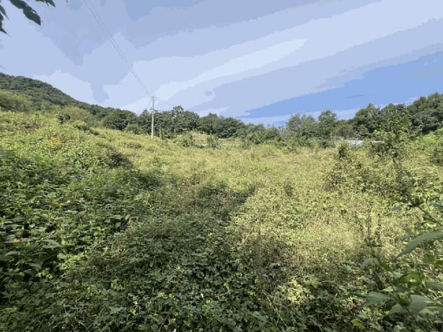 B000272202501300054221.jpg