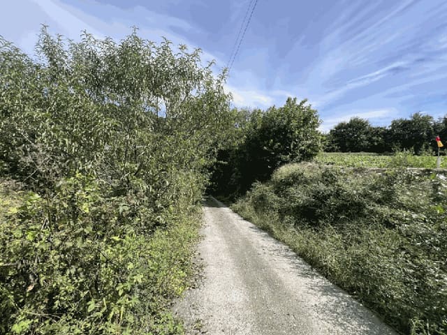 B000272202501300054224.jpg