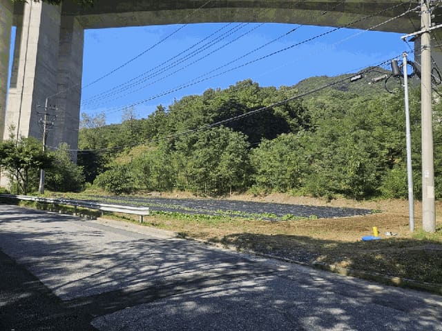 B000272202501300054254.jpg