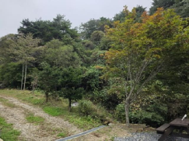 B000272202501300054301.jpg