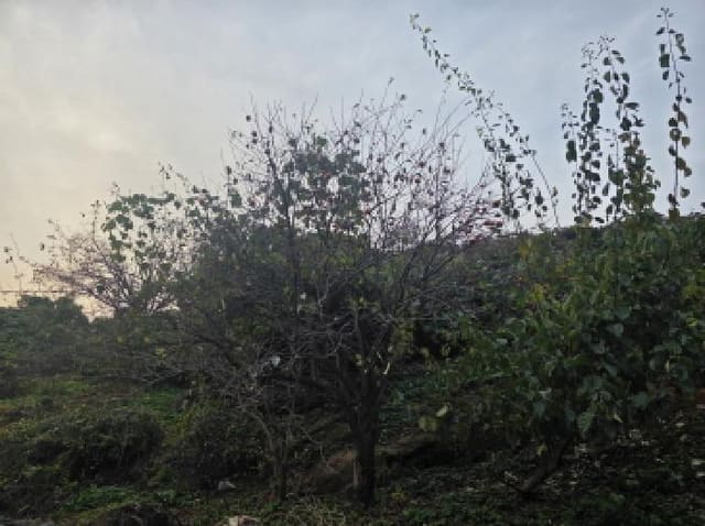 B000272202501300054382.jpg