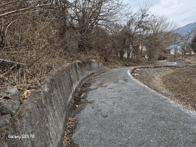 B0002722025013000548218.jpg