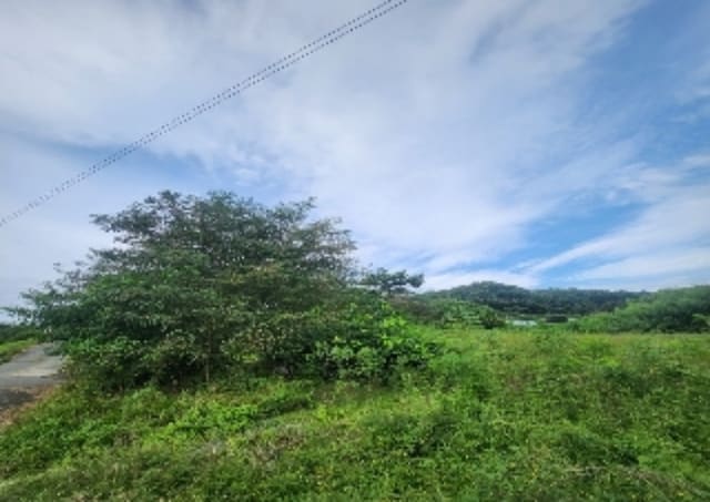 B000273202301300007452.jpg