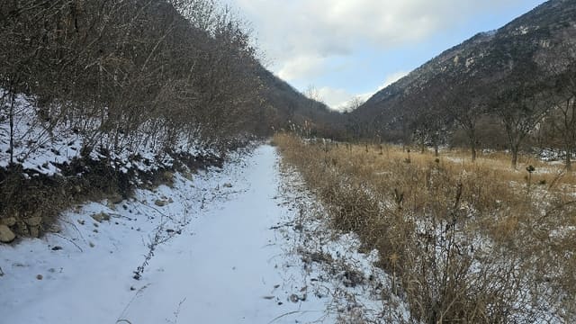 B000273202401300116363.jpg