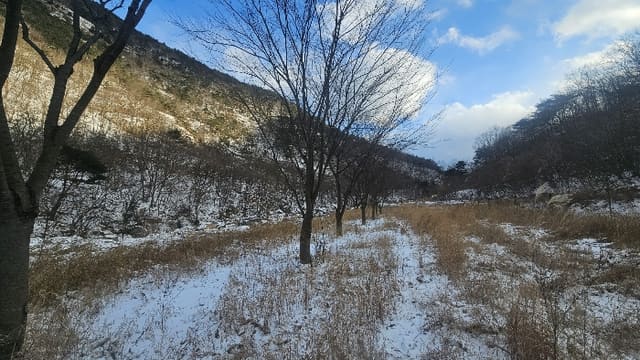 B000273202401300116364.jpg