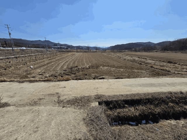 B000273202501300000482.jpg