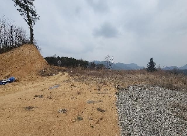 B000273202501300000651.jpg