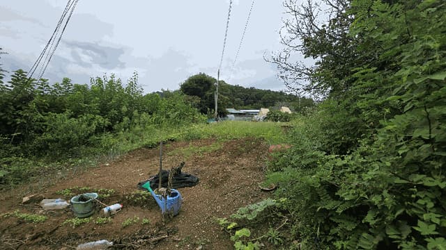 B000273202501300000933.jpg