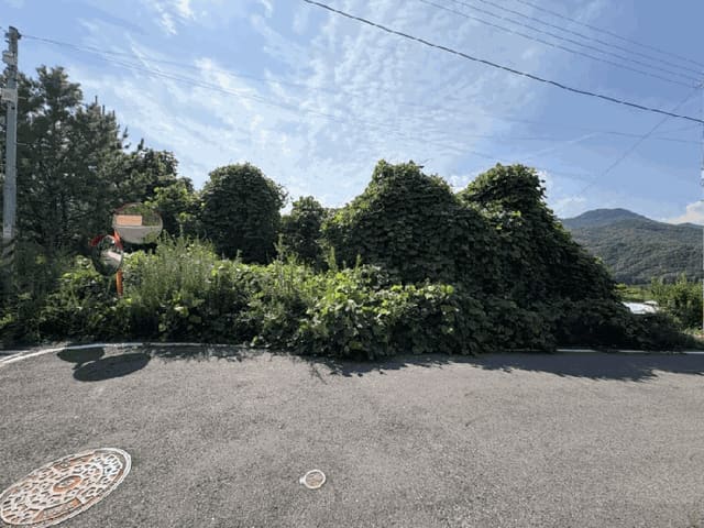 B000273202501300000963.jpg