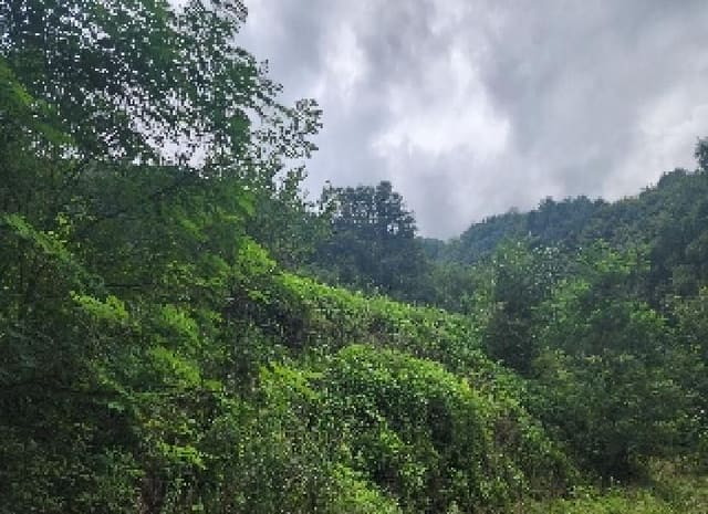 B000273202501300000971.jpg