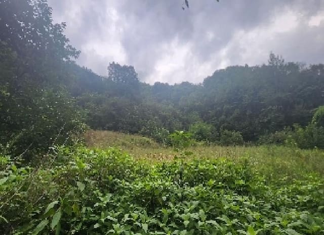 B000273202501300000973.jpg