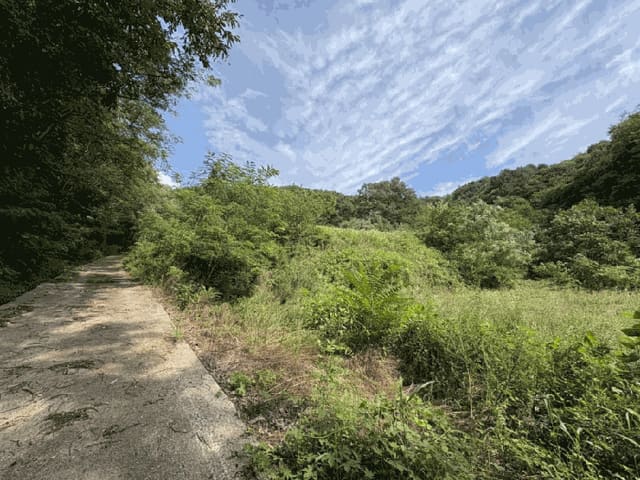 B000273202501300000974.jpg