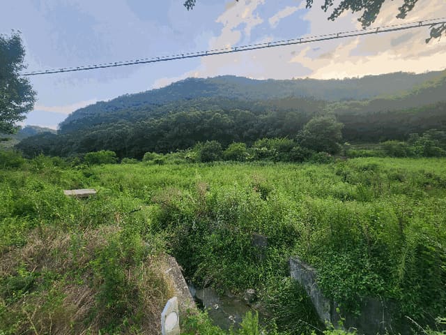 B000273202501300001074.jpg