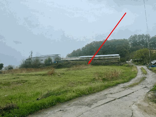B000273202501300101284.jpg