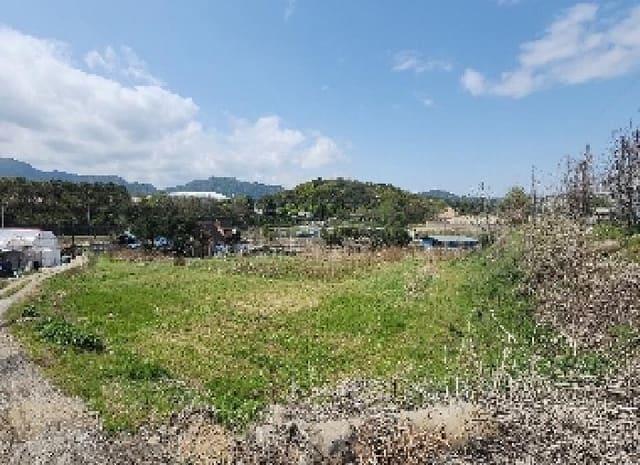 B000273202501300101281.jpg
