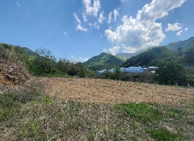 B000273202501300101324.jpg