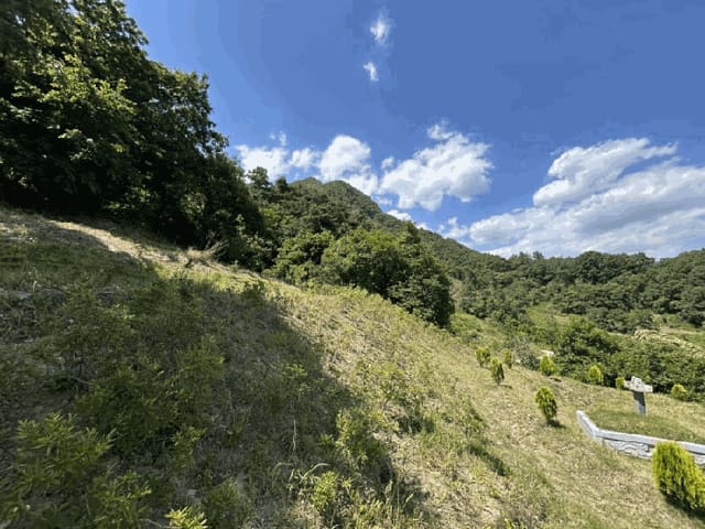 B000273202501300101373.jpg