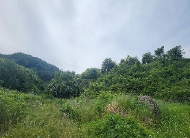 B000273202501300101533.jpg
