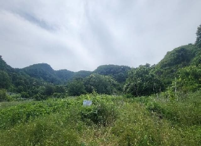 B000273202501300101531.jpg