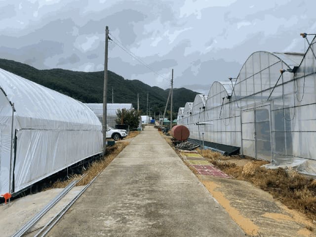 B000273202501300101643.jpg