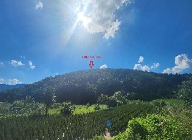 B000273202501300101731.jpg