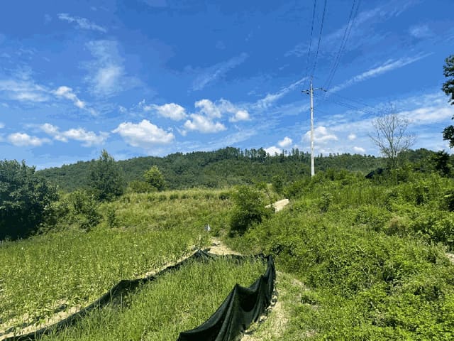 B000273202501300101823.jpg