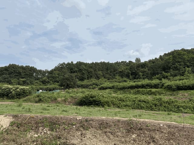 B000273202501300101854.jpg