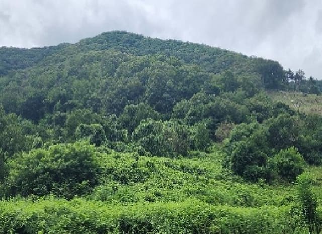 B000273202501300101861.jpg