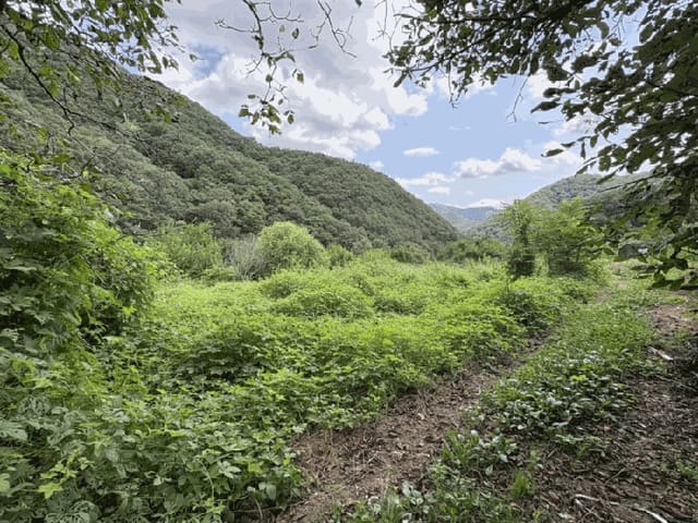 B000273202501300101962.jpg