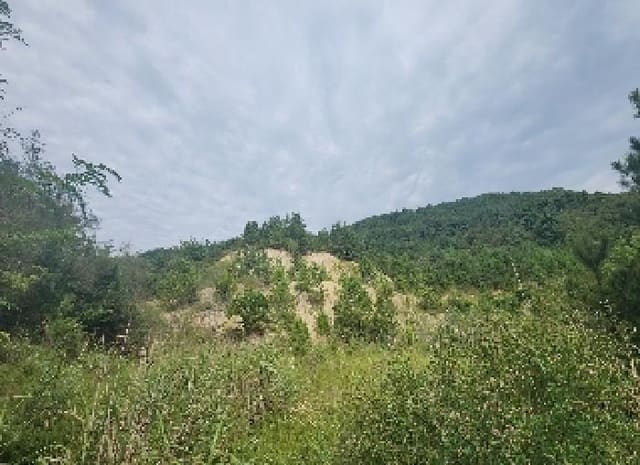 B000273202501300102084.jpg