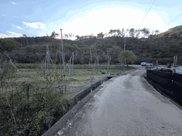 B000273202501300102153.jpg