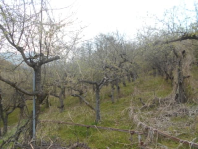 B0002802020013010267962.jpg