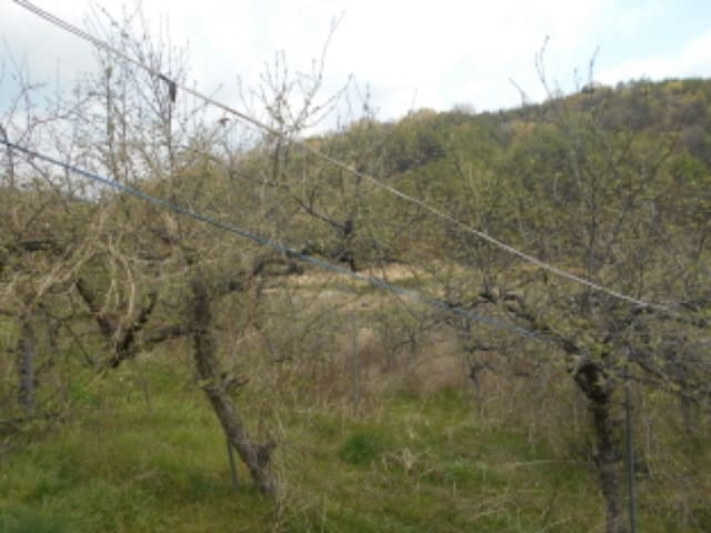 B0002802020013010267961.jpg