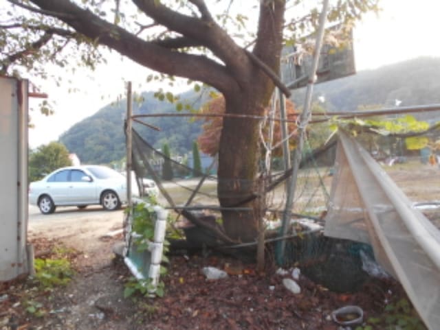 B000280202301300081671.jpg