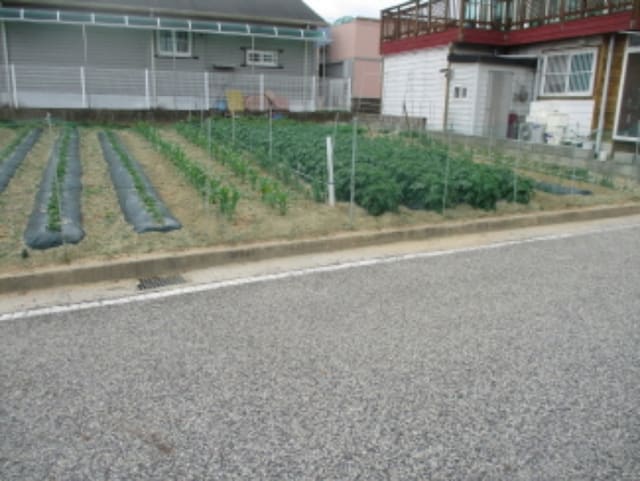 B000280202301301040723.jpg