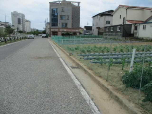 B000280202301301040721.jpg