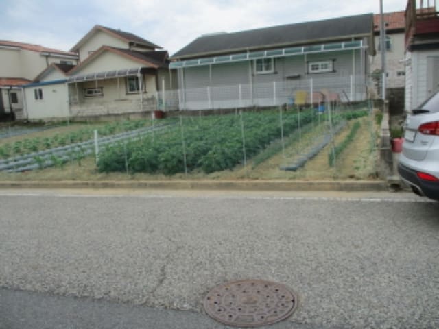 B000280202301301040724.jpg