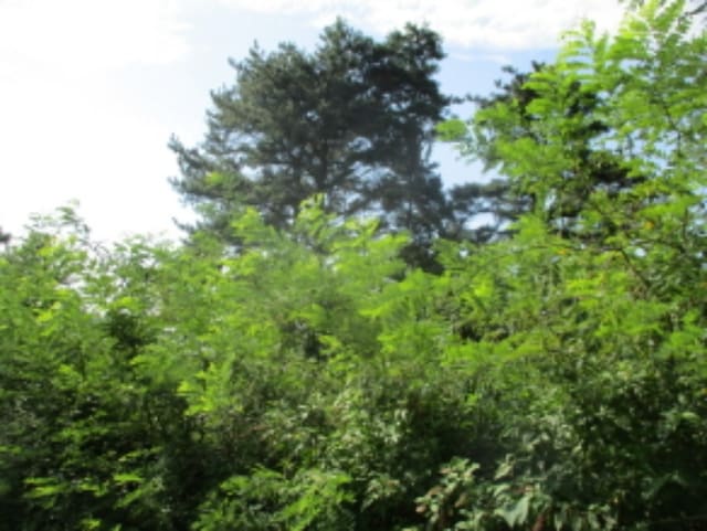 B000280202301301112921.jpg