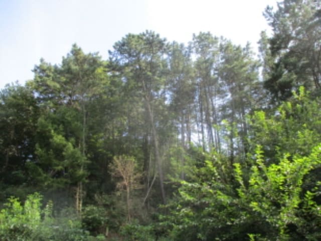 B000280202301301112922.jpg