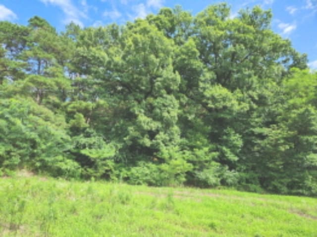B000280202401300071781.jpg