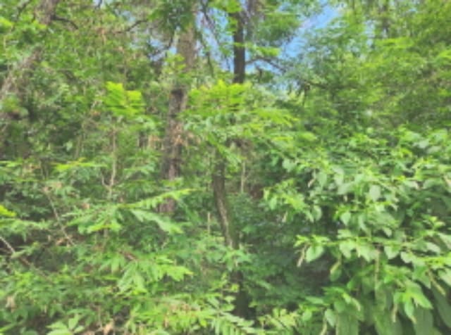 B000280202401300071783.jpg