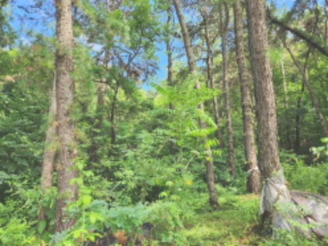 B000280202401300071782.jpg