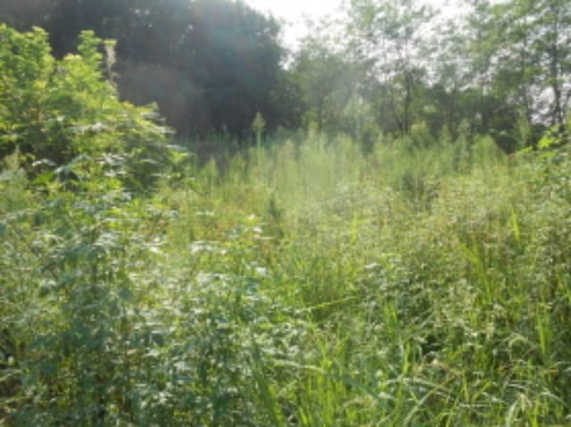 B000280202401300086834.jpg