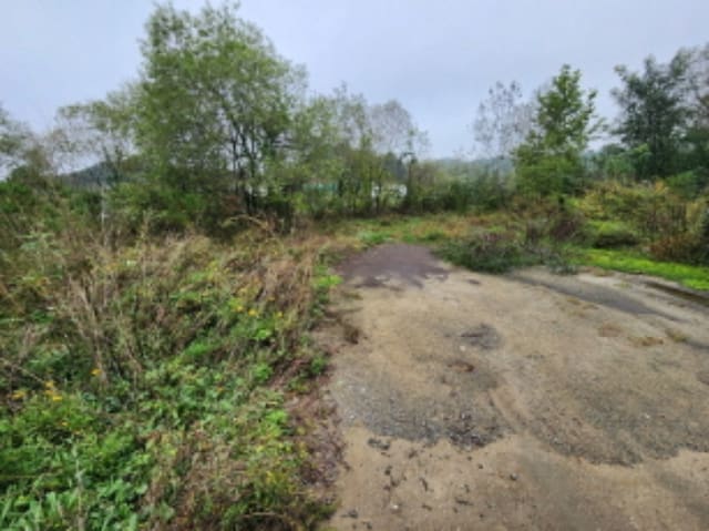 B0002802024013000967920.jpg