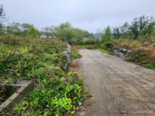 B0002802024013000967919.jpg