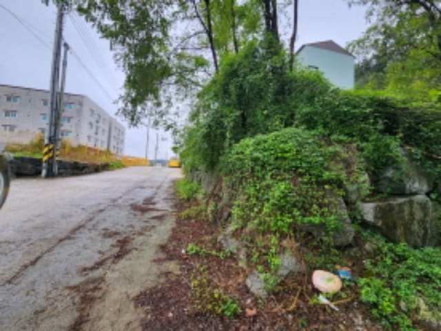 B0002802024013000967917.jpg