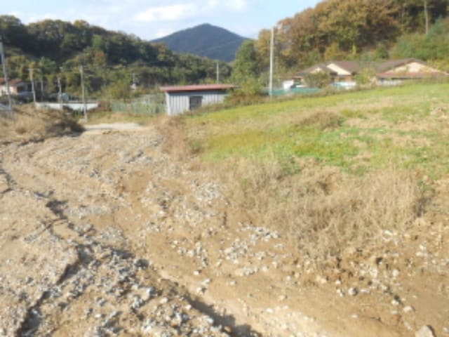 B000280202401300098533.jpg