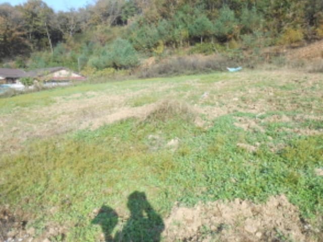 B000280202401300098532.jpg