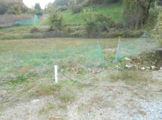 B000280202401300103034.jpg