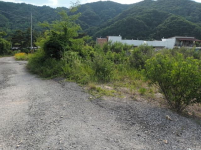 B000280202401301108212.jpg